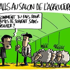 Agriculture (politique): Manuel Valls et les moutons…